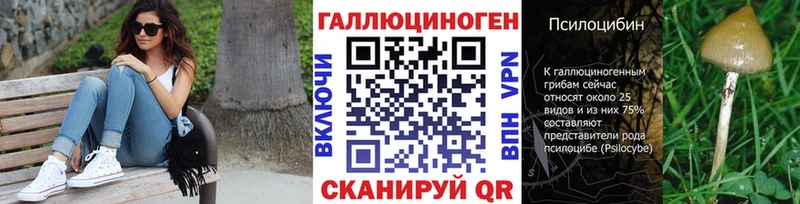 Псилоцибиновые грибы Psilocybine cubensis Ужур